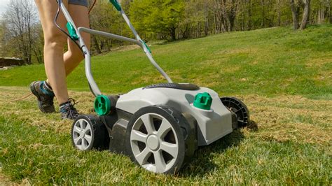 Lawn Scarifier Vs Dethatcher Which Is Right For Your Lawn Homes Guide