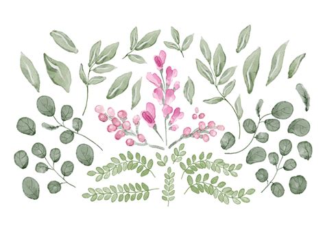 Collection of Leaves and Flowers in Watercolor 1313969 Vector Art at ...