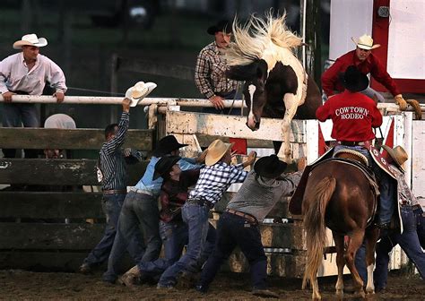 Cowtown Rodeo - CHANGwLEE.com