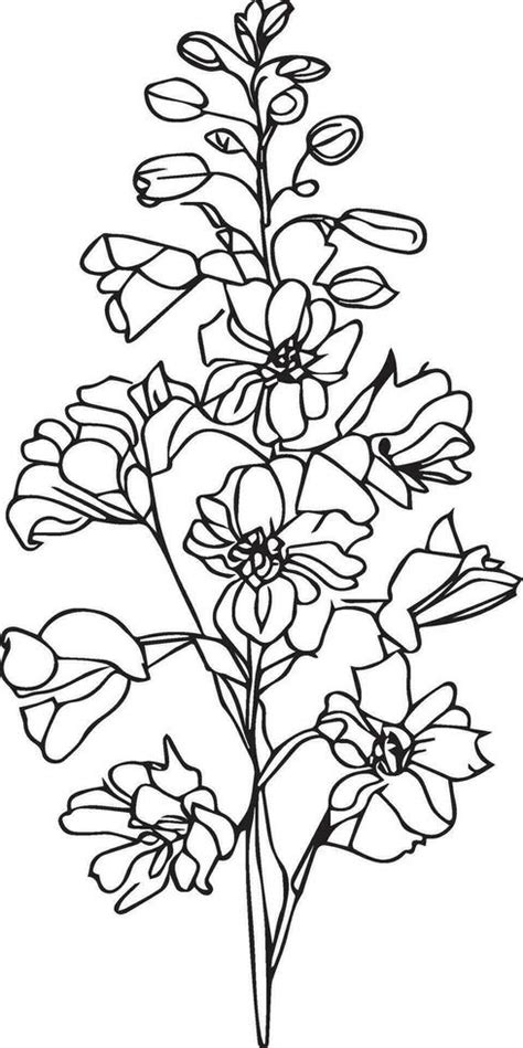 July Birth Flower Larkspur Drawing Minimalist July Birth Flower Larkspur Tattoo Larkspur July