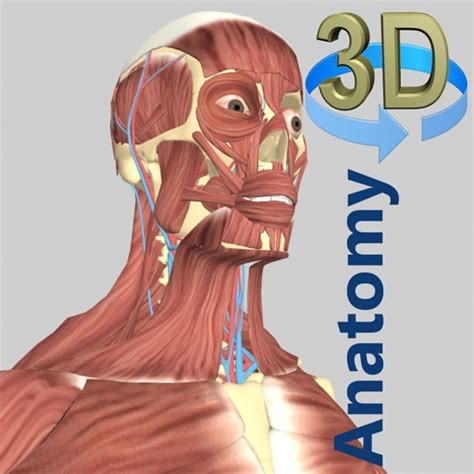 3D Anatomy by Education Mobile