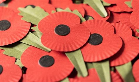 Britains Remembrance Poppies Through The Ages In Tradition Spanning