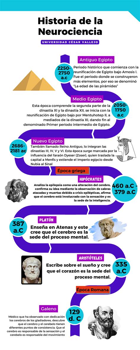 Linea Del Tiempo Historia De Las Neurociencias By Zacarias Mirella Porn Sex Picture