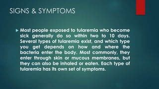 Senior Nurse Lecture Tularemia Ppt