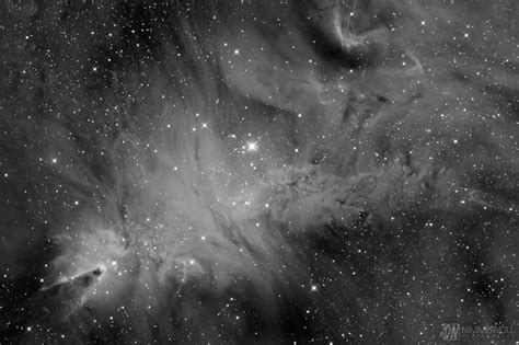 NGC 2264 Astro Fotografie Nimmervoll