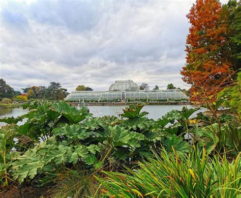 Visiting Kew Gardens With Kids