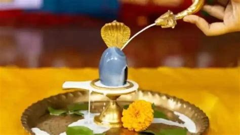 Shivling Puja বাড়িতে শিবলিঙ্গ পুজো করেন এতটুকু ভুল করলেই মিলবে রুদ্র