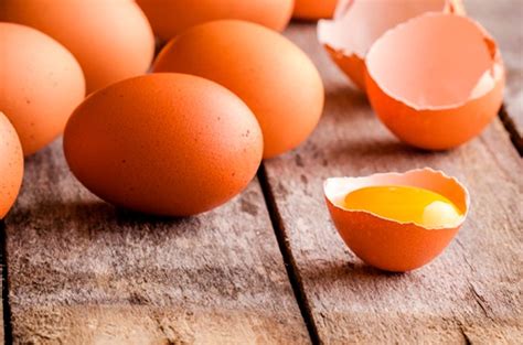 Vorbereitung Einer Bikini Athletin