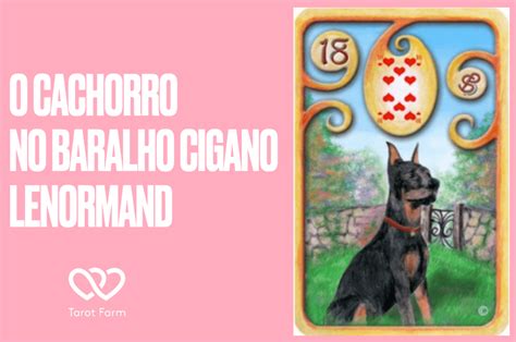 Carta Do Cachorro Combina Es Braincp