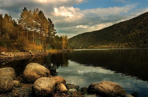 Bosque boreal características flora y fauna Meteorología en Red