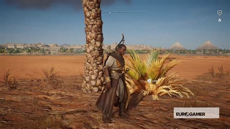 Assassin S Creed Origins Papyrus Puzzle Locations Fertile Land Divided Valley And More