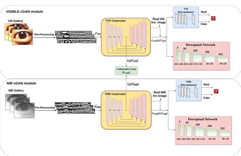 Architecture Of Our Proposed Conditional Cpgan Framework During Download Scientific Diagram