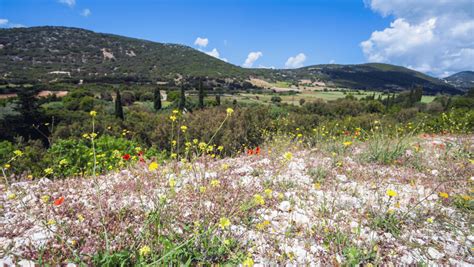 Exploring the Warmth of a Mediterranean Climate Region