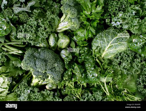 100 Background Green Vegetables Images Myweb