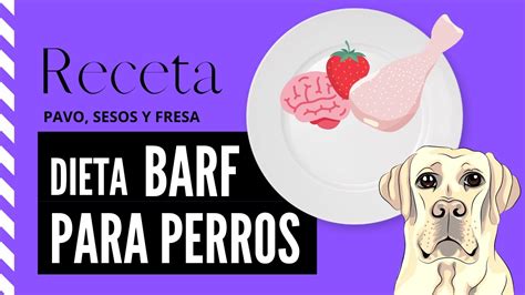 Dieta BARF 2 Receta para perros Pavo y Pollo Cómo hacer