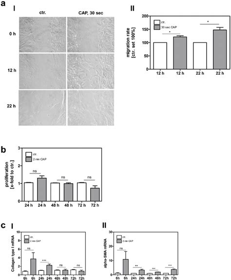 Fibroblast Migration Proliferation And Ecm Production After Cap