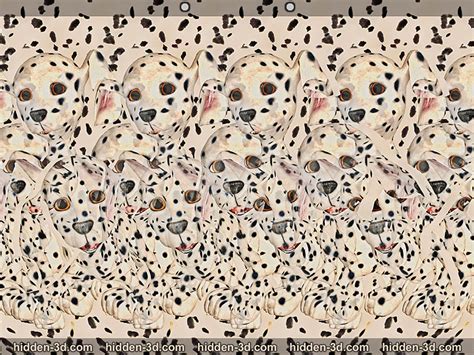 Animals Stereogram Gallery : Cute pups : Stereogram Images, Games, Video and Software. All Free!