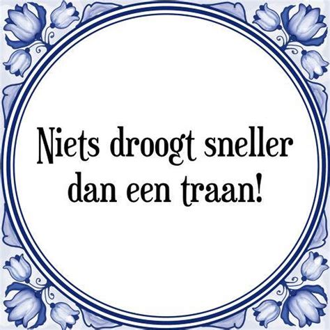 Tegeltje Met Spreuk Tegeltjeswijsheid Niets Droogt Sneller Dan Een