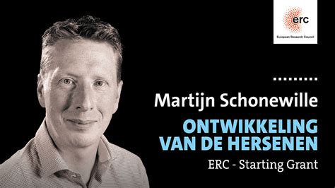 Ontwikkeling Van De Hersenen Erasmus Rdo