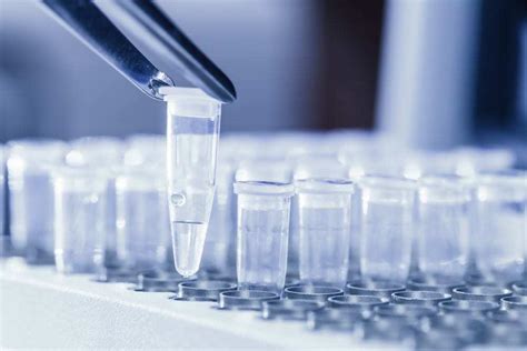 Novel Coronavirus Testing Part I RRT PCR Testing QPS