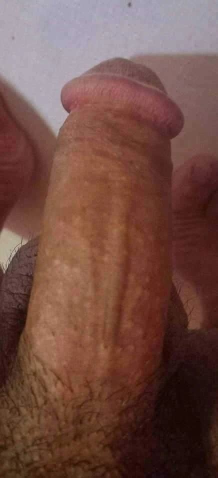 Algerian Gay Porn Pics Real Algeria Sex Photos XHamster