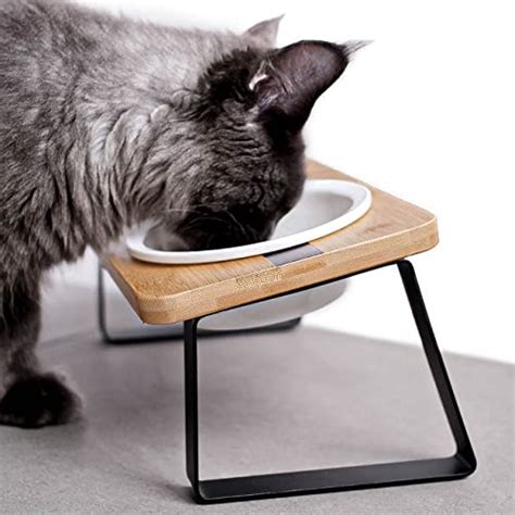 Best Cat Bowls With Stand