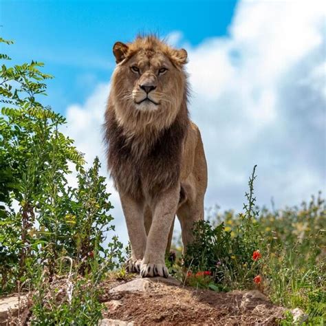 Bioparc Découvrez les gagnant e s du concours photo Angers maville