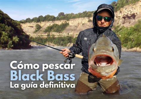 C Mo Pescar Black Bass La Gu A Definitiva Wefish