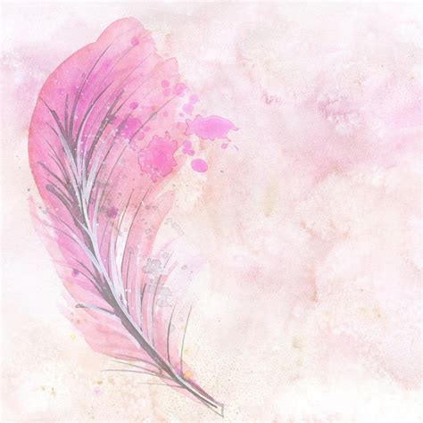 Watercolor Feather Scrapbook - Free image on Pixabay