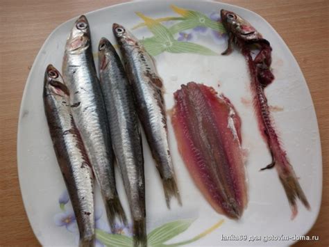 Анчоусы маринованные • Закуски рыбные