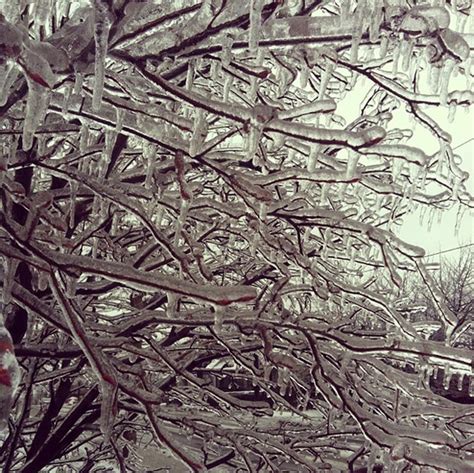 Photos of the 2013 Toronto ice storm