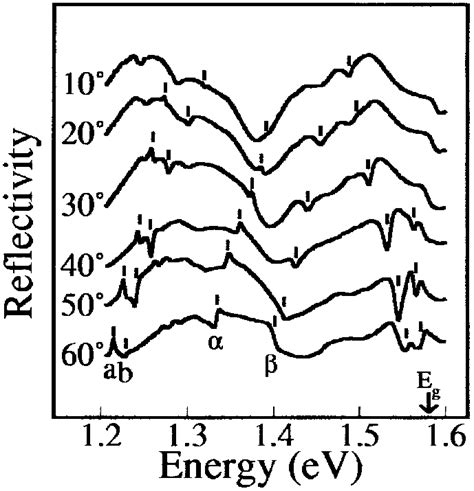 Angular Dependent Tm Polarized Reflectivity Spectra From A 2 D