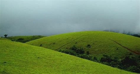 Green Meadows of Vagamon