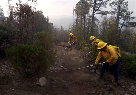 Reportan 17 Incendios Forestales Activos En Durango