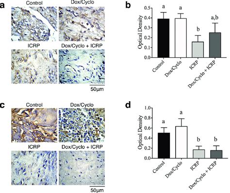 Immunohistochemical Staining And Optical Density Od Value Of Ido And