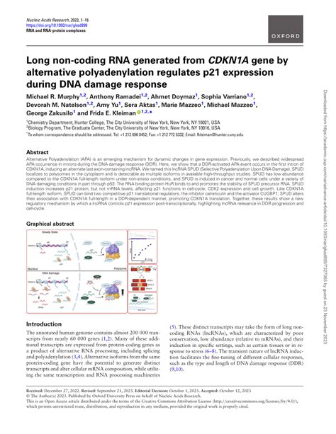 Pdf Long Non Coding Rna Generated From Cdkn A Gene By Alternative