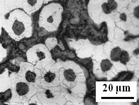 A Typical Lom Microstructure Of Ductile Cast Iron With Download Scientific Diagram