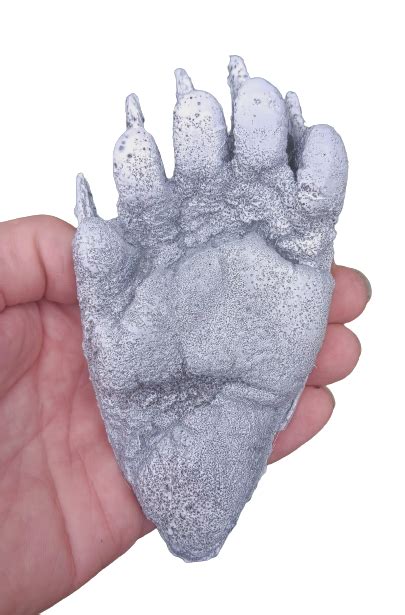 Black Bear Juvenile track Footprint Cast Replica Footprint Track ...