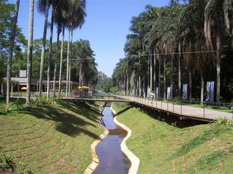 Parque Jardim Botânico Jabaquara Zona Sul de São Paulo