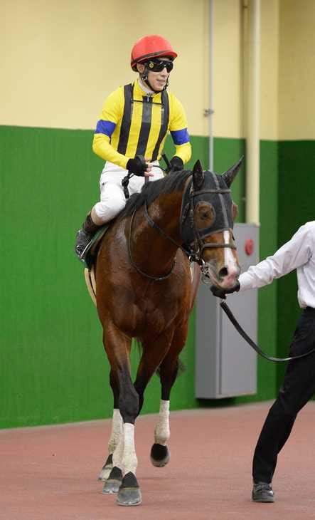 【中日新聞杯】1番人気プログノーシスは最速上がり33秒2も4着 藤岡佑「もう少しレースが流れてほしかったですね」 サンスポzbat