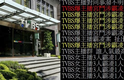 Tvbs主播宮鬥風波延燒 Ptt八卦鄉民加入辦案當「柯南」 娛樂 中時新聞網