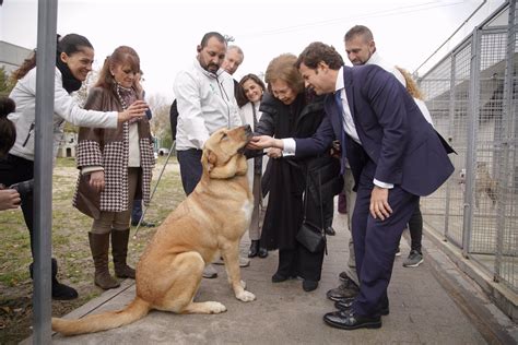 La Reina Sof A Reaparece Con Una Sonrisa Tras Salir A La Luz El