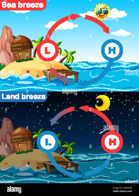 Diagrama Que Muestra La Brisa Marina Y Terrestre Imagen Vector De Stock