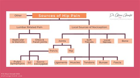 Differential Diagnosis of Hip Pain | Learn More