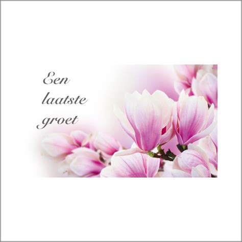 Flower Pink Laatste Groet Mini Art