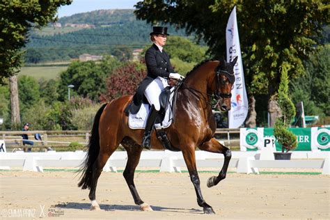 Cluny Le Grand national de dressage se déroule ce week end à Equivallée