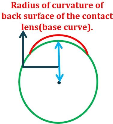 Contact Lens Base Curve Diameter Explained And Why They Are So