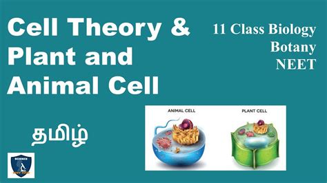 Cell Theory And Plant And Animal Cell In Tamil Cell The Unit Of Life