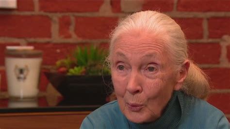 Jane Goodall Discusses Power Of Youth Movement Importance Of