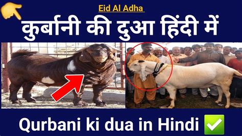 करबन क दआ हद म Qurbani ki dua in Hindi YouTube